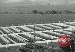 Immagine di Il cimitero di Argonne Francia, 1919, secondo 18 filmato di repertorio 65675026317
