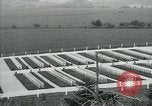 Immagine di Il cimitero di Argonne Francia, 1919, secondo 21 filmato di repertorio 65675026317