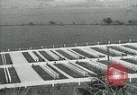 Immagine di Il cimitero di Argonne Francia, 1919, secondo 23 filmato di repertorio 65675026317