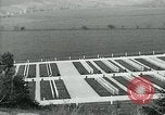 Immagine di Il cimitero di Argonne Francia, 1919, secondo 27 filmato di repertorio 65675026317