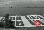 Immagine di Il cimitero di Argonne Francia, 1919, secondo 29 filmato di repertorio 65675026317