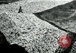 Image of US 139th Infantry Regiment France, 1918, second 1 stock footage video 65675026348