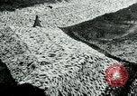 Image of US 139th Infantry Regiment France, 1918, second 3 stock footage video 65675026348