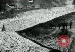 Image of US 139th Infantry Regiment France, 1918, second 11 stock footage video 65675026348