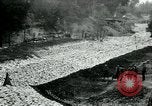 Image of US 139th Infantry Regiment France, 1918, second 20 stock footage video 65675026348