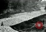 Image of US 139th Infantry Regiment France, 1918, second 26 stock footage video 65675026348