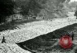 Image of US 139th Infantry Regiment France, 1918, second 30 stock footage video 65675026348