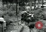 Image of U.S. 130th Field Artillery France, 1918, second 38 stock footage video 65675026351
