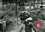Image of U.S. 130th Field Artillery France, 1918, second 40 stock footage video 65675026351