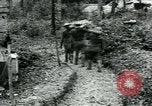 Image of U.S. 130th Field Artillery France, 1918, second 55 stock footage video 65675026351