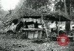 Image of U.S. 130th Field Artillery France, 1918, second 60 stock footage video 65675026351