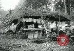 Image of U.S. 130th Field Artillery France, 1918, second 61 stock footage video 65675026351