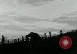 Image of Wire Cutting Patrol France, 1918, second 11 stock footage video 65675026354