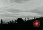 Image of Wire Cutting Patrol France, 1918, second 12 stock footage video 65675026354