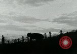 Image of Wire Cutting Patrol France, 1918, second 13 stock footage video 65675026354