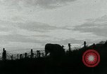 Image of Wire Cutting Patrol France, 1918, second 14 stock footage video 65675026354