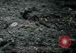 Image Mihiel  Saint Drive France, 1918, de la seconde 16 séquences d'archives historiques vidéo 65675026357