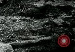 Image Mihiel  Saint Drive France, 1918, de la seconde 19 séquences d'archives historiques vidéo 65675026357