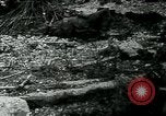 Image Mihiel  Saint Drive France, 1918, de la seconde 20 séquences d'archives historiques vidéo 65675026357