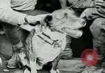 Image of Saint-Mihiel France, 1918, second 18 stock footage video 65675026359