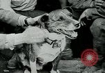 Image of Saint-Mihiel France, 1918, second 19 stock footage video 65675026359