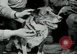 Image of Saint-Mihiel France, 1918, second 20 stock footage video 65675026359