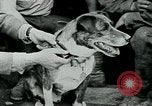 Image of Saint-Mihiel France, 1918, second 21 stock footage video 65675026359
