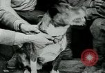 Image of Saint-Mihiel France, 1918, second 22 stock footage video 65675026359