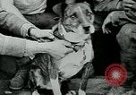 Image of Saint-Mihiel France, 1918, second 23 stock footage video 65675026359
