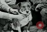 Image of Saint-Mihiel France, 1918, second 24 stock footage video 65675026359
