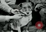 Image of Saint-Mihiel France, 1918, second 25 stock footage video 65675026359