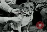 Image of Saint-Mihiel France, 1918, second 26 stock footage video 65675026359