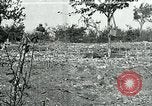 Standbild American Expeditionary Force Friedhöfe Frankreich, 1918, aus Sekunde 1 historischem Filmmaterial Videoclip 65675026363