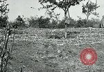 Standbild American Expeditionary Force Friedhöfe Frankreich, 1918, aus Sekunde 3 historischem Filmmaterial Videoclip 65675026363