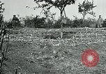 Standbild American Expeditionary Force Friedhöfe Frankreich, 1918, aus Sekunde 4 historischem Filmmaterial Videoclip 65675026363