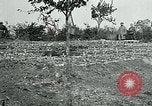 Standbild American Expeditionary Force Friedhöfe Frankreich, 1918, aus Sekunde 7 historischem Filmmaterial Videoclip 65675026363