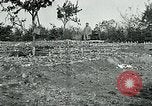 Standbild American Expeditionary Force Friedhöfe Frankreich, 1918, aus Sekunde 11 historischem Filmmaterial Videoclip 65675026363