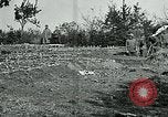 Standbild American Expeditionary Force Friedhöfe Frankreich, 1918, aus Sekunde 15 historischem Filmmaterial Videoclip 65675026363