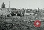 Standbild American Expeditionary Force Friedhöfe Frankreich, 1918, aus Sekunde 21 historischem Filmmaterial Videoclip 65675026365