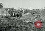 Standbild American Expeditionary Force Friedhöfe Frankreich, 1918, aus Sekunde 22 historischem Filmmaterial Videoclip 65675026365