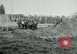 Standbild American Expeditionary Force Friedhöfe Frankreich, 1918, aus Sekunde 23 historischem Filmmaterial Videoclip 65675026365