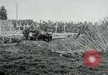 Standbild American Expeditionary Force Friedhöfe Frankreich, 1918, aus Sekunde 24 historischem Filmmaterial Videoclip 65675026365