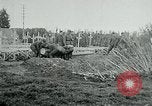 Standbild American Expeditionary Force Friedhöfe Frankreich, 1918, aus Sekunde 25 historischem Filmmaterial Videoclip 65675026365