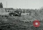 Standbild American Expeditionary Force Friedhöfe Frankreich, 1918, aus Sekunde 26 historischem Filmmaterial Videoclip 65675026365