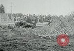 Standbild American Expeditionary Force Friedhöfe Frankreich, 1918, aus Sekunde 27 historischem Filmmaterial Videoclip 65675026365