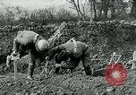 Image of American Expeditionary Force cemetery France, 1918, second 19 stock footage video 65675026369