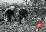 Image of American Expeditionary Force cemetery France, 1918, second 21 stock footage video 65675026369