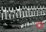 Image of American Expeditionary Force Cemeteries France, 1918, second 30 stock footage video 65675026371