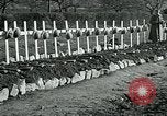 Image of American Expeditionary Force Cemeteries France, 1918, second 39 stock footage video 65675026371