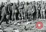 Image of Grave of Lt Quentin Roosevelt France, 1918, second 6 stock footage video 65675026372